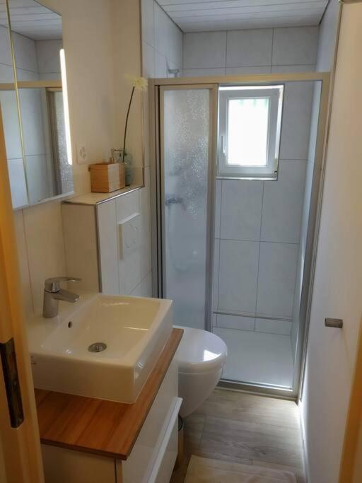 Bijou 1 Huebsche 1 Zimmer Wohnung Herisau Extérieur photo